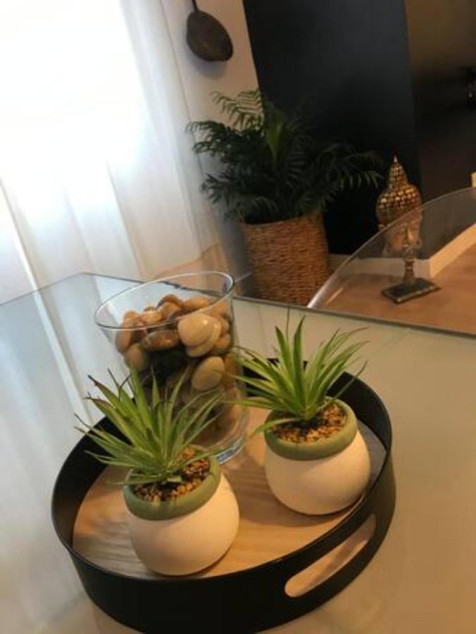 Nuevo Apartamento En Playa De Las Canteras ลาสปัลมาส เด กรานคานาเรีย ภายนอก รูปภาพ